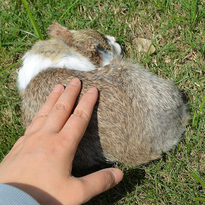 Realistic Furry Sleeping Cat Figurine Simulation Kitty Lifelike Kitten Home Office Shelf Decorative Statue, Synthetic Fur Pet Replica (Brown)