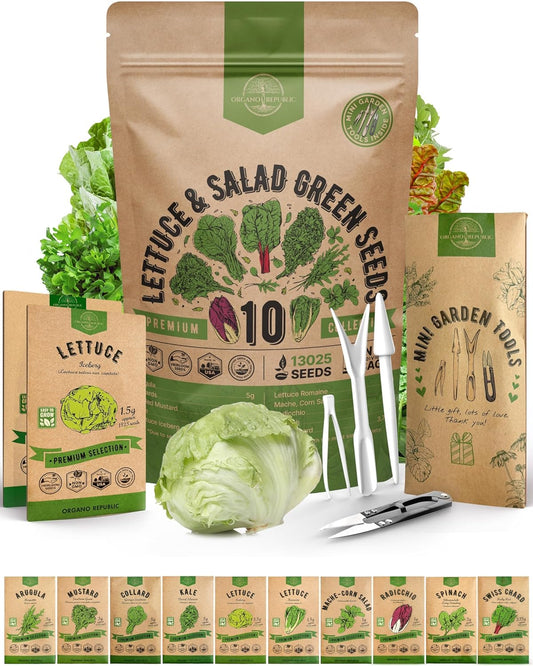 Organo Republic 10 Lettuce & Salad Greens Seeds Variety Pack 13000+ Non-GMO Heirloom Lettuce Seeds for Planting Indoors & Outdoors Garden, Hydroponics - Arugula, Radicchio, Kale, Spinach, Swiss Chard