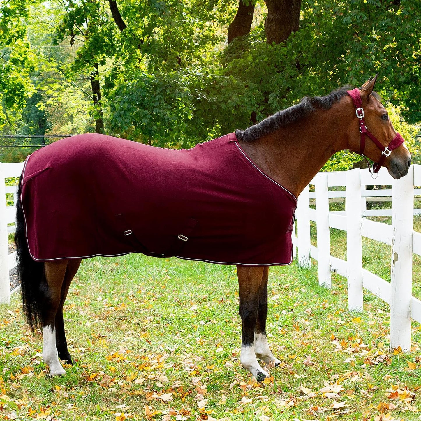 HORZE Kiel Adjustable Horse Halter with Fleece Padding - Dark Red - Warmblood