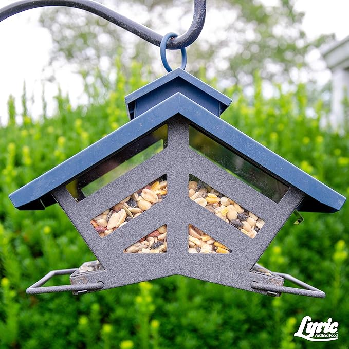 Lyric Fruit and Nut Wild Bird Seed - High Energy Wild Bird Food Mix - Attracts Woodpeckers, Chickadees & Other Songbirds - 20 lb bag