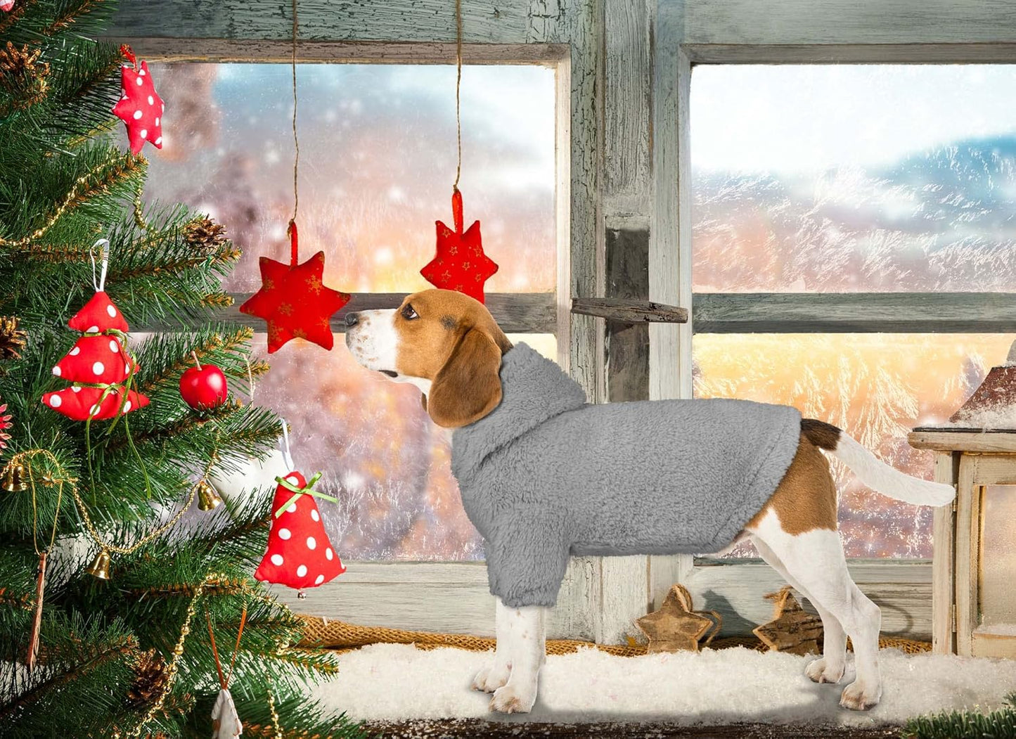 Fuzzy Dog Sweaters for Small Dogs Dog Hoodie Pet Clothes Warm Soft Cozy Coats Hooded Sweatshirt Fleece Small Pet Hoodies Sweater(Grey-XS)