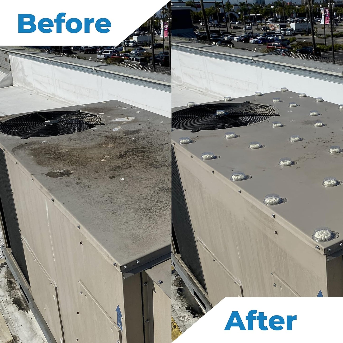 BIRD BARRIER Dissolve-It Enzyme Cleaner - Bird Dropping - Dissolves Waste – Treat Affected Areas Before Installing Bird Control Products - 1 Gallon Makes 2 Gallons