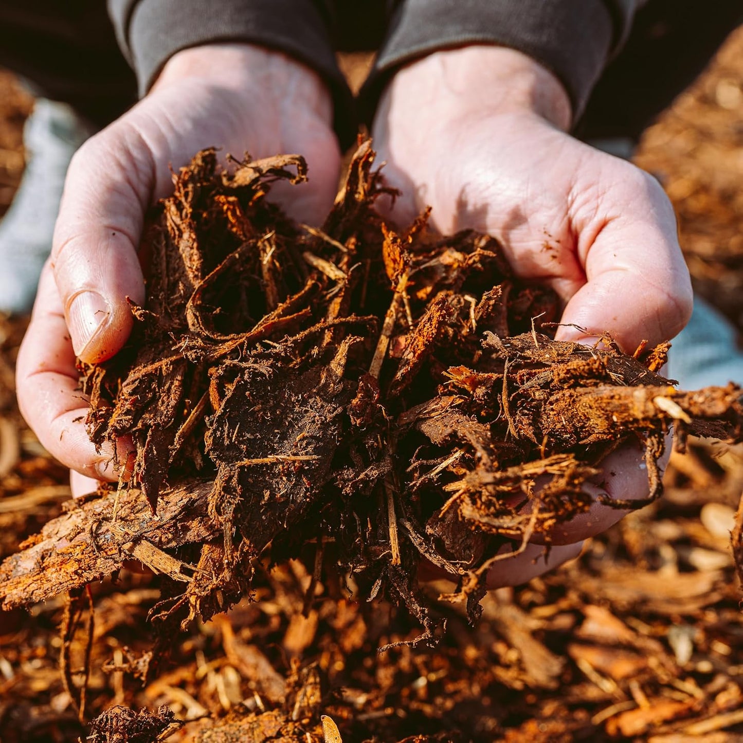 Premium Gold Wood Mulch for Landscaping, Gardens, Lawns, Potting Media, and Potted Plants (2 CF - 56 L - 59 QTS)