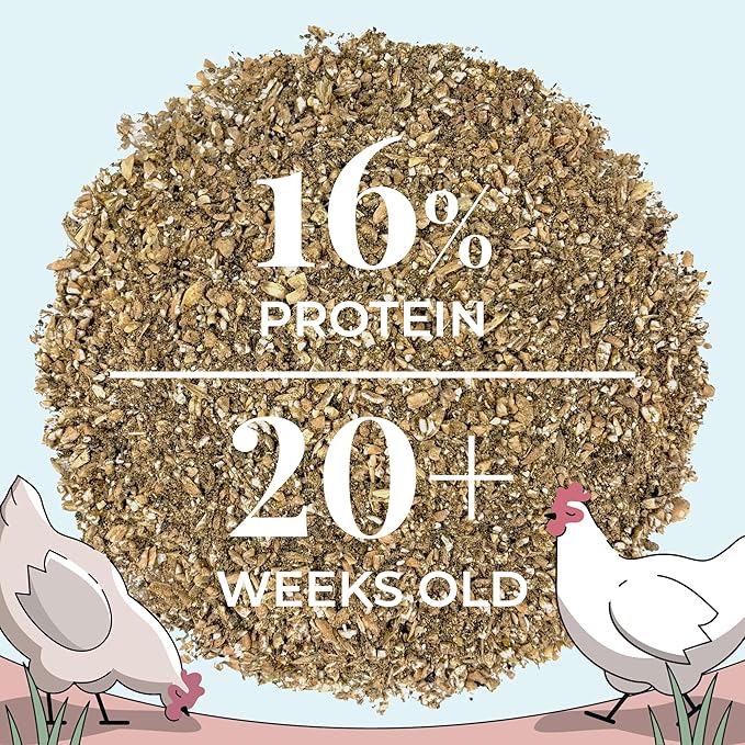 Organic Chicken Feed – Layer Mash, Non-GMO, USA Grown, 16% Protein, Corn-Free, Soy-Free, Non-Medicated Feed for Chickens, 2 lbs Sample