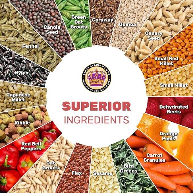 LEACH GRAIN & MILLING CO. Finch Cuisine 4 Lbs, Finch Food, Nutrient-Rich Blend Bird Seed, Birdseed for Finches and Small Birds, Support Daily Energy, Growth & Healthy Balanced Diet, No Mess Bird Seed