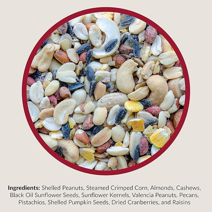 Lyric Fruit and Nut Wild Bird Seed - High Energy Wild Bird Food Mix - Attracts Woodpeckers, Chickadees & Other Songbirds - 20 lb bag
