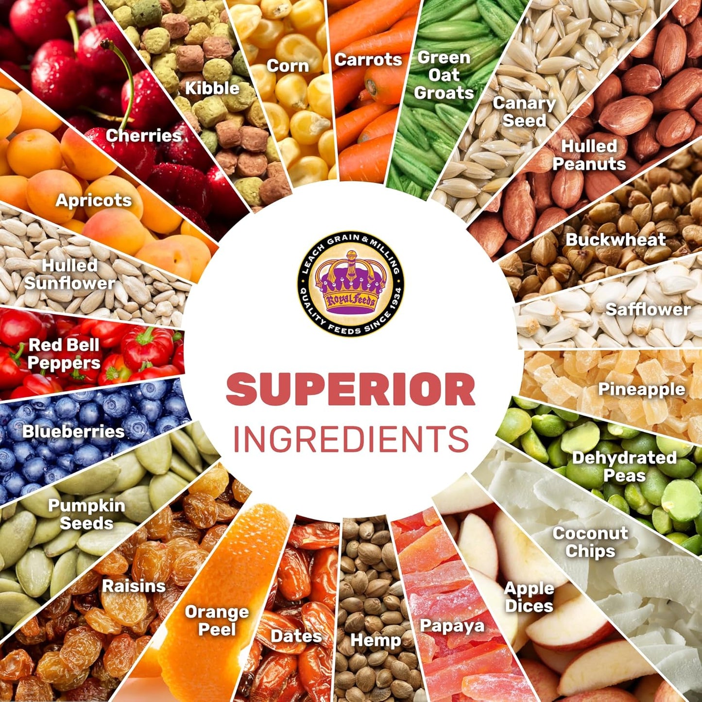 Small Hookbill Cuisine, 4 Lbs Premium Birdseeds for Parrot, Bird Food for Small Hookbill, Supports Daily Energy, Growth & Digestive Health, Nutrient-Rich Parrot Bird Seed for Outside Feeders