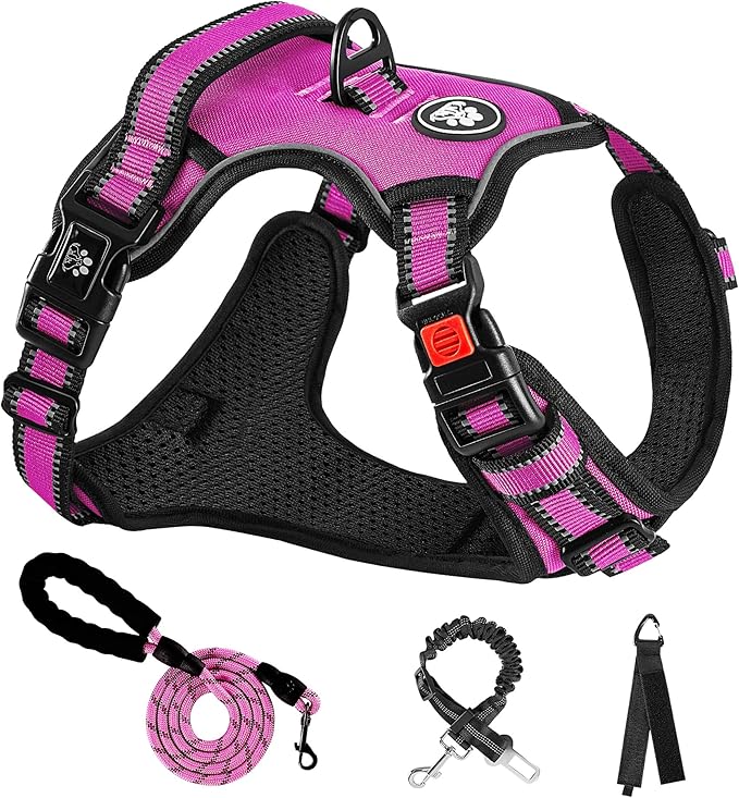 NESTROAD No Pull Dog Harness,Adjustable Oxford Dog Vest Harness with Leash,Reflective No-Choke Pet Harness with Easy Control Soft Handle for Large Dogs(Large,Fuchsia Pink)