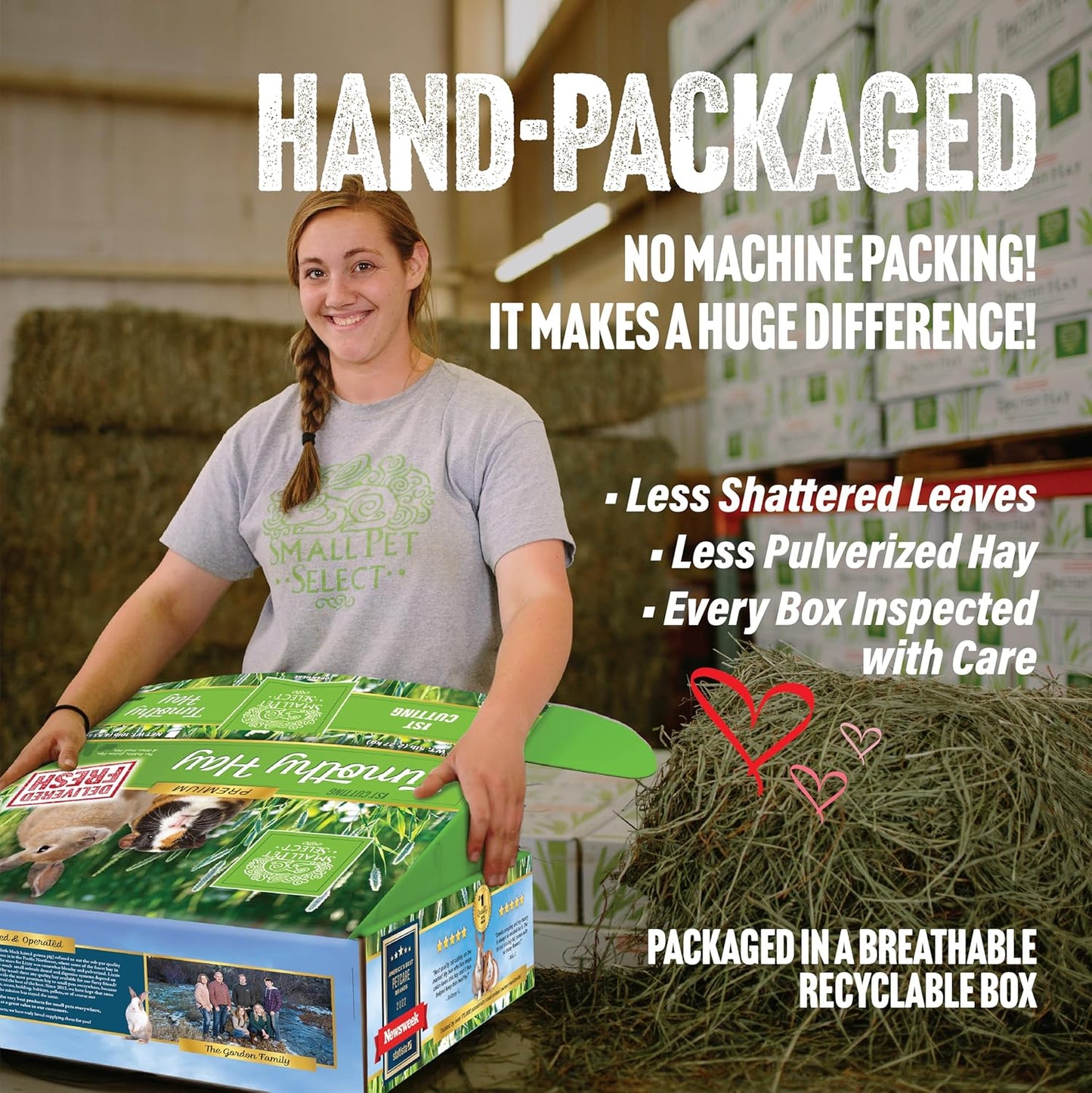 Small Pet Select 1st Cut Timothy Hay Pet Food for Rabbits, Guinea Pigs, and Other Small Animals, Easy to Store Box, 10 LB