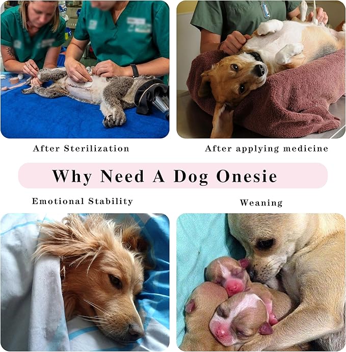 Comprehensive Post-Surgery Dog Recovery Suit: Premium Cotton Protective Wound Care Shirt for Puppies, Cats, and Small Pets - Ensuring Ultimate Comfort, Unrestricted Mobility M