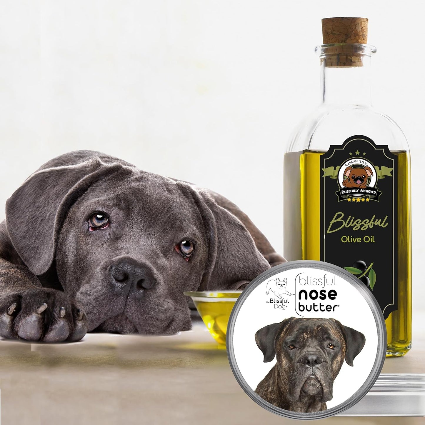 The Blissful Dog Cane Corso Nose Butter for Dry, Cracked Skin, Lick-Safe Dog Nose Balm with Moisturizing Shea Butter, Almond, Olive, and Essential Oils, Pet Supplies, Uncented, 4 oz.