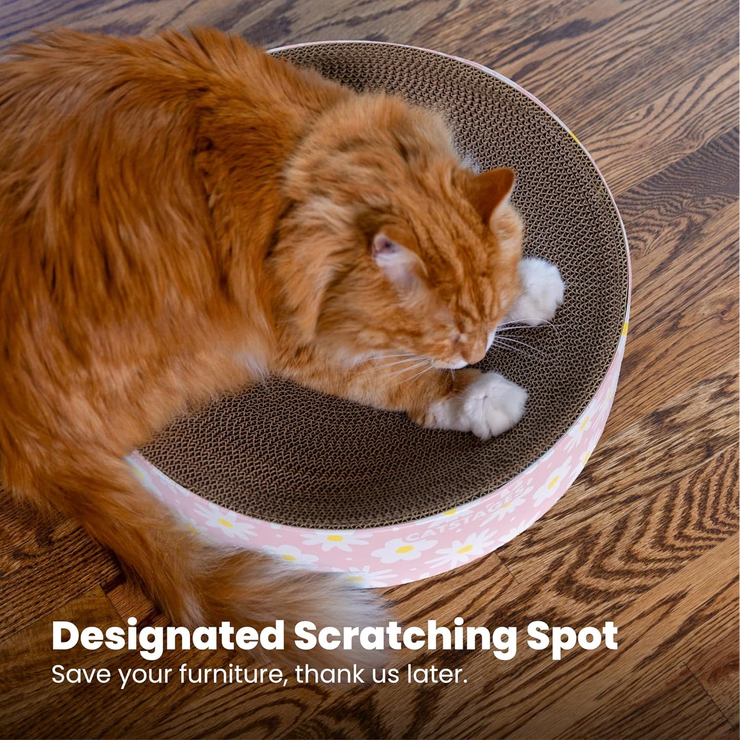 Catstages Scratch & Snuggle Daisy Two-in-One Corrugated Cat Scratcher and Lounging Spot, Floral Design, Pink