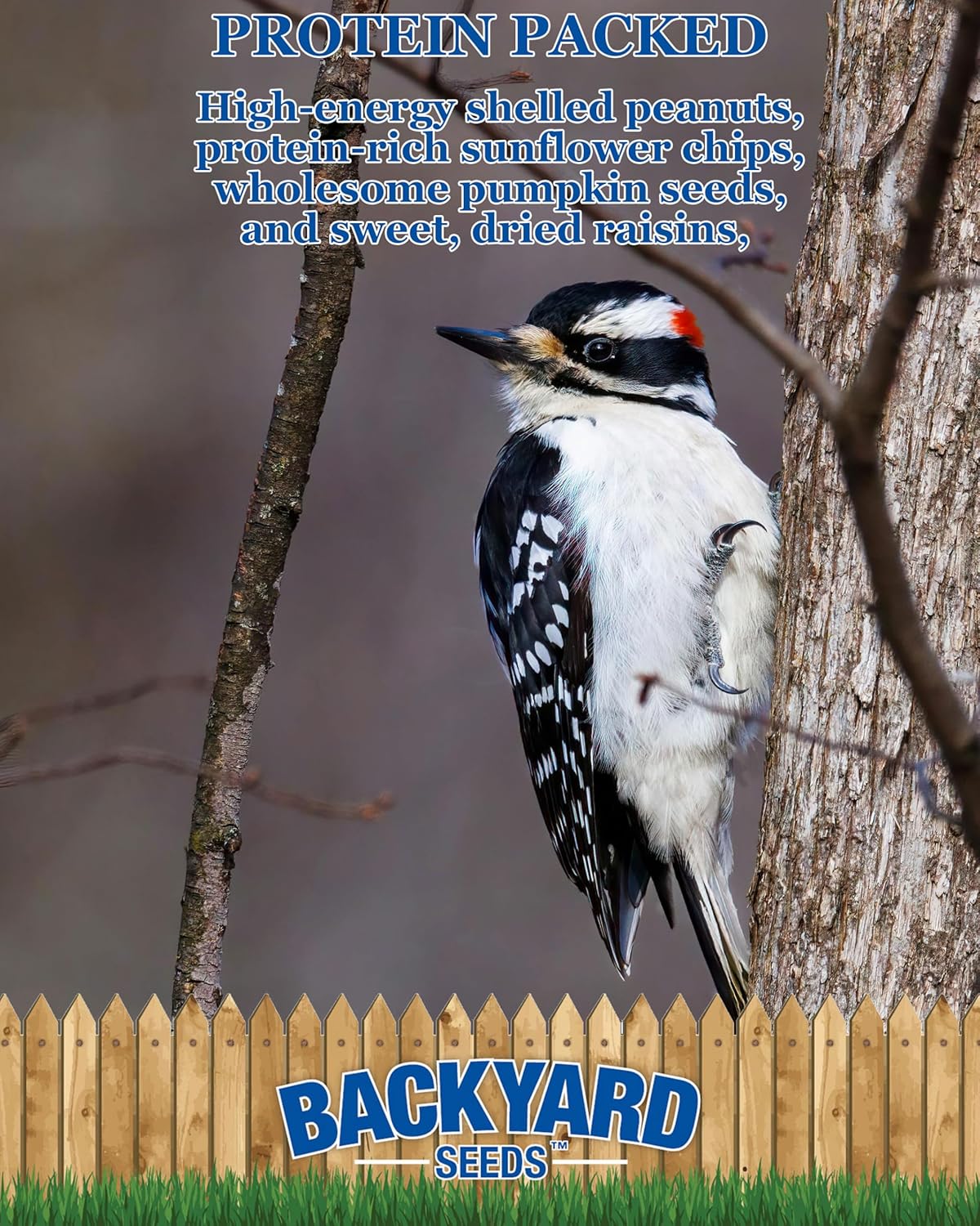 Backyard Seeds Woodpecker Shelled Peanuts Mixed Bird Seed with Sunflower Chips, Pumpkins, Raisins (40 Pounds)