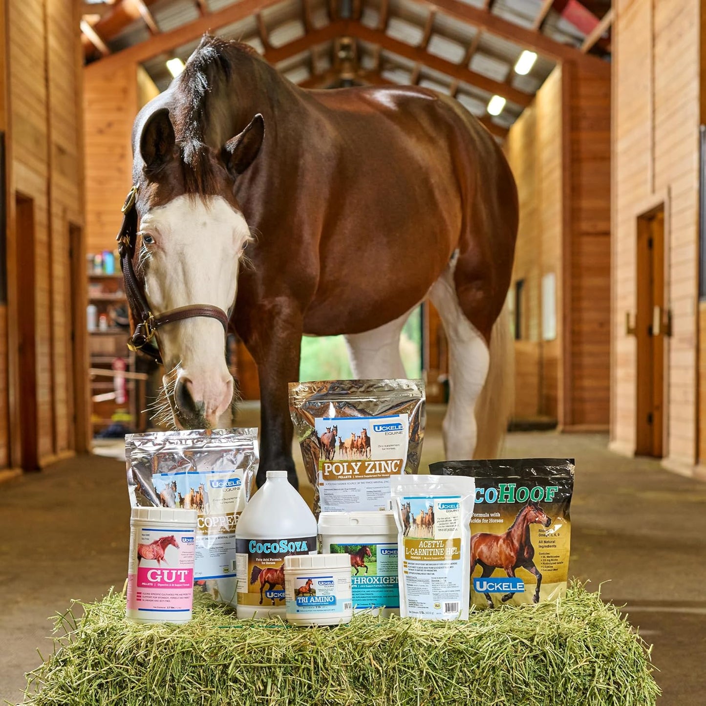 Uckele by SmartEquine EquiBase Grass Pellets | Horse Vitamins & Minerals Supplement, Forage Balancer | Horses in Light to Moderate Work | 45 lb Bucket