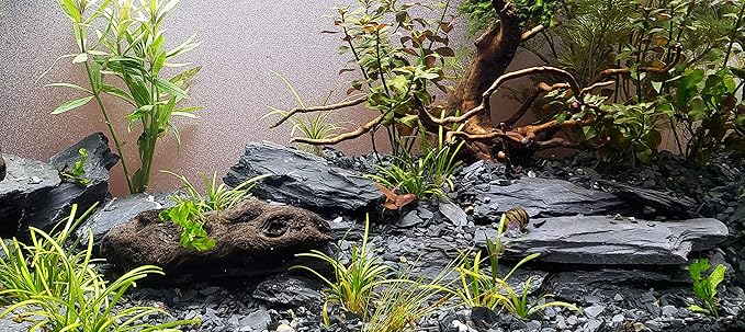 Natural Slate Stone 3 to 5 Inches - USA Sourced and Packaged for Aquascaping Aquariums, Terrariums, Paludariums, Reptiles, Wargaming, Model Railroads, Miniature Gardens, Mosaic Art (12lbs)