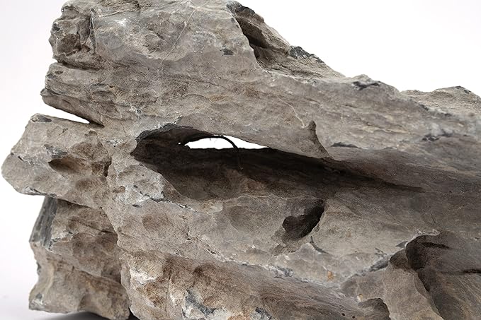 LANDEN Seiryu Stones Natural Rocks for Aquarium, Paludarium, Terrariums, Landscaping Rocks, Aquascaping, 80L (36lbs) 3-11in, Seiryu Stones(3-11inch,36lbs)