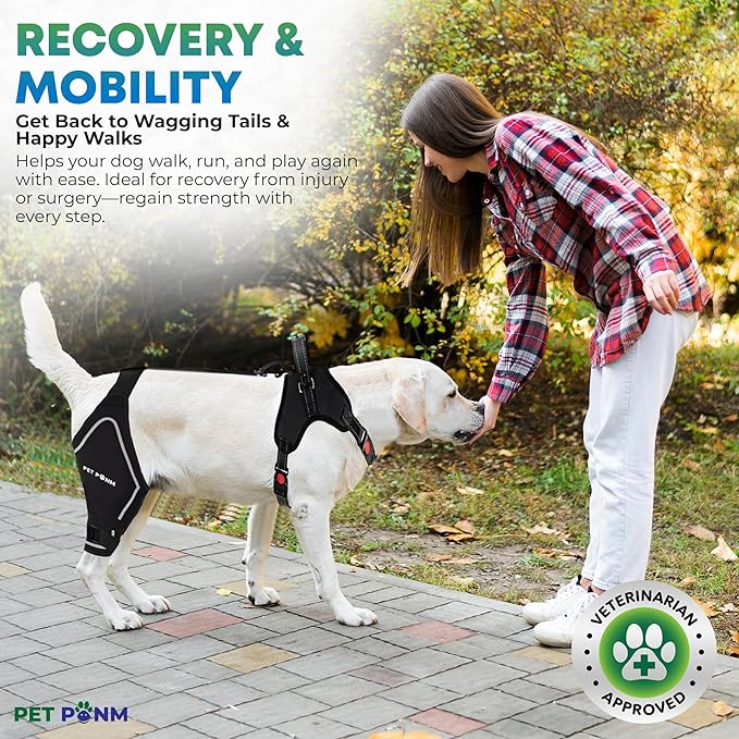 Petpanm- Adjustable Dog Knee Brace- Right Hind Leg with Integreted Harness- Premium Support for Torn ACL, Sprains & Strains Recovery, Enhances Mobility, Comfortable Neoprene.(Large)