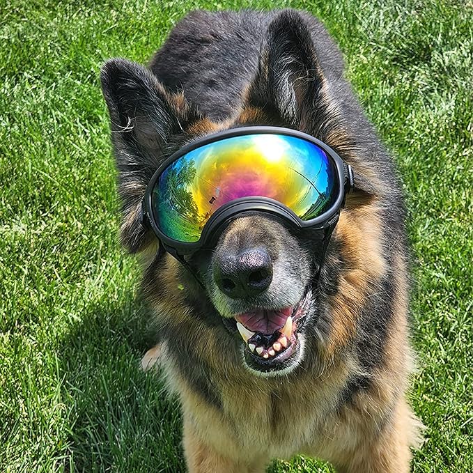 Large Dog Sunglasses with Adjustable Strap UV Protection, Winproof, Suitable for Medium-Large Dogs