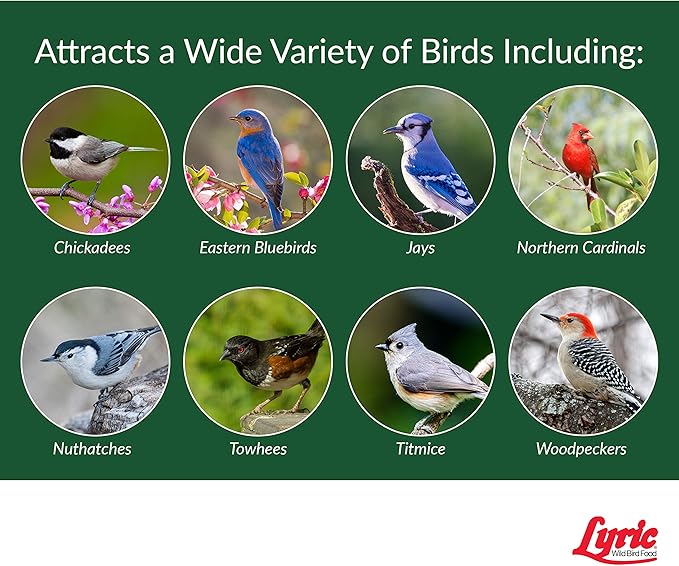 Lyric Peanut Pieces Wild Bird Seed - No Waste Bird Food - Attracts Titmice, Woodpeckers, Chickadees & More - 15 lb bag