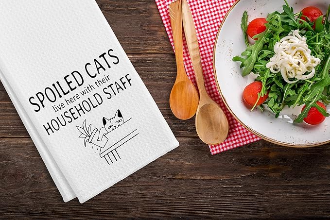 QIYUHOY Spolled Cats Kitchen Towels and Dishcloths,Hand Towels for Kitchen,Cat Theme Dish Towels Gifts for Cat Lovers,24x16 Inch