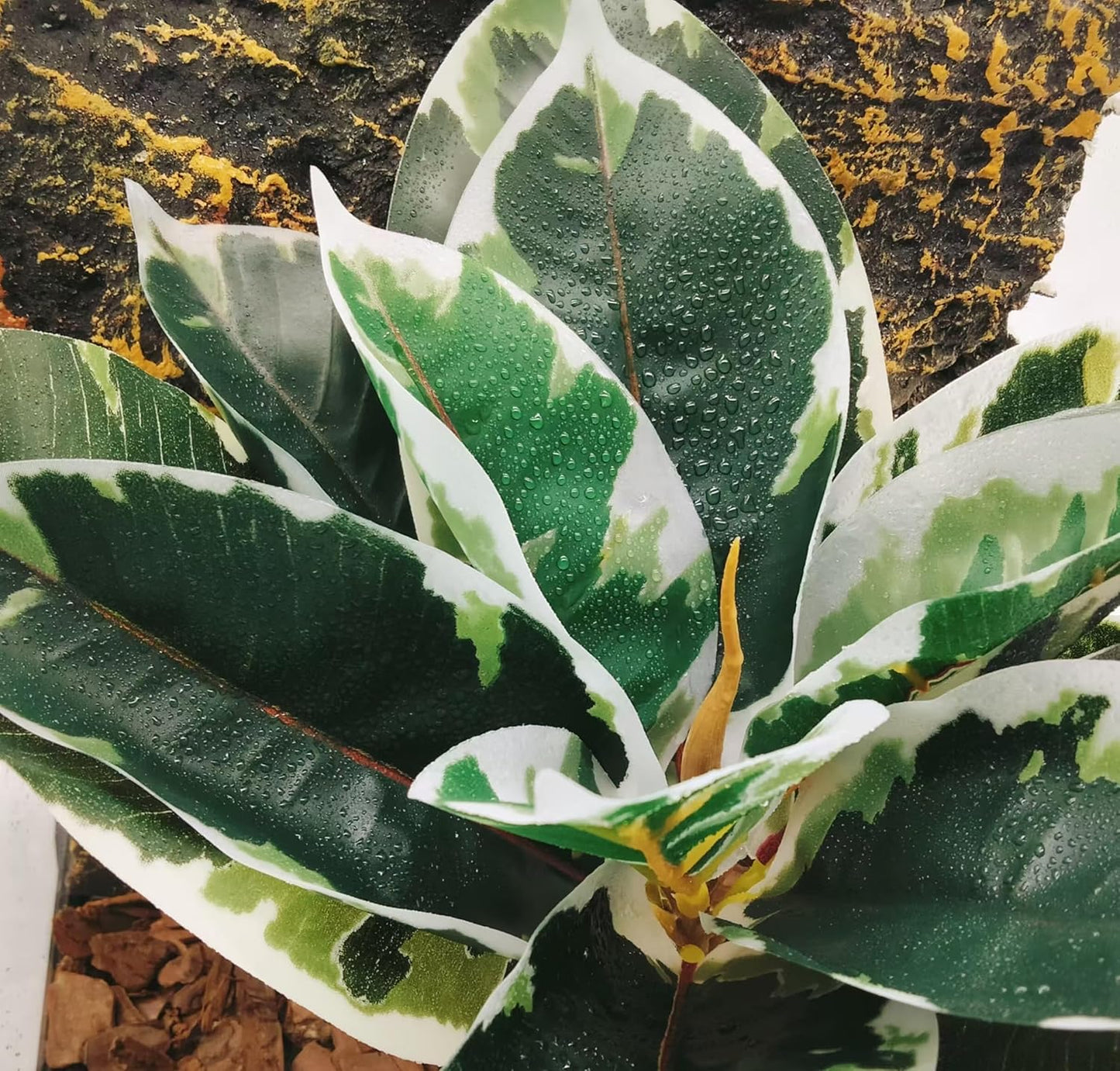 Reptile Plants Terrarium Reptile Tank Decorations for Bearded Dragon Lizard Snake Geckos Chameleon Amphibian Habitat Terrarium Decor (Green+White)