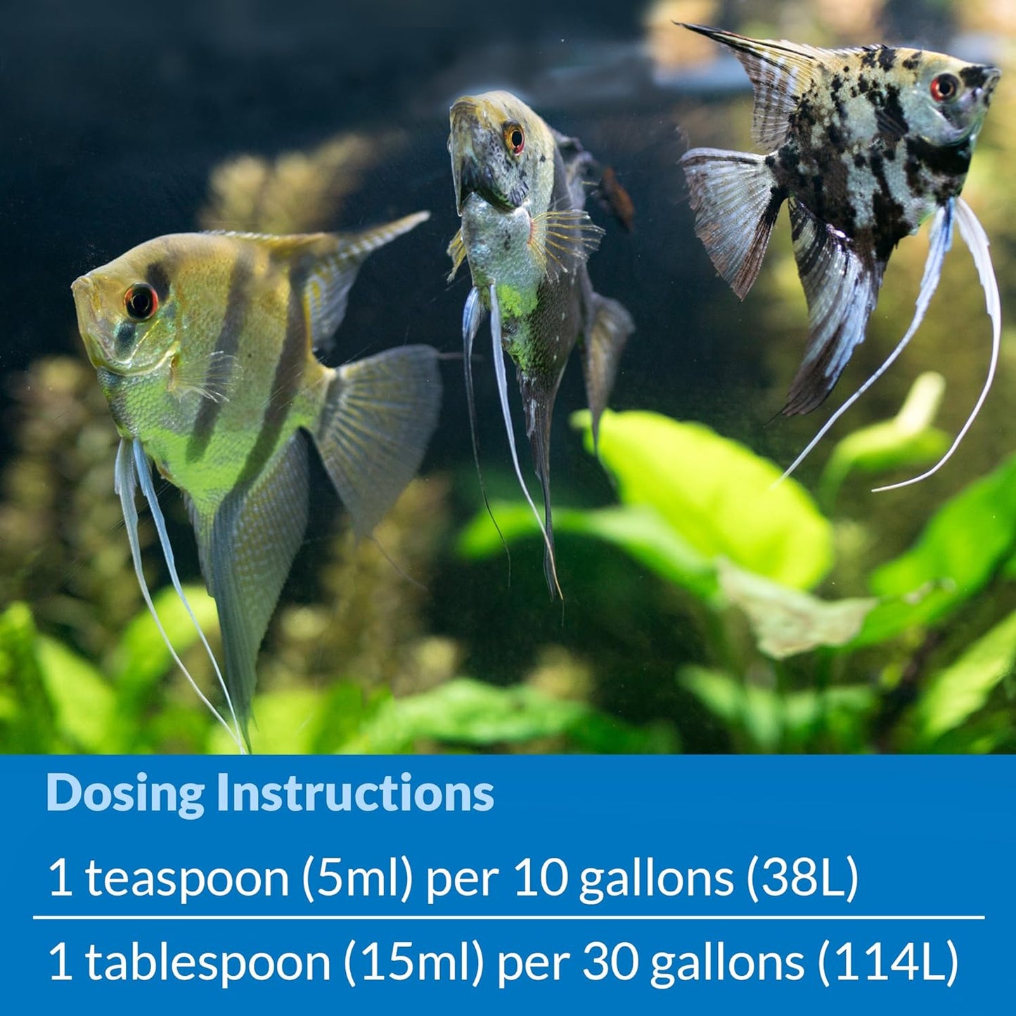 API STRESS COAT Aquarium Water Conditioner 4-Ounce Bottle (85B)