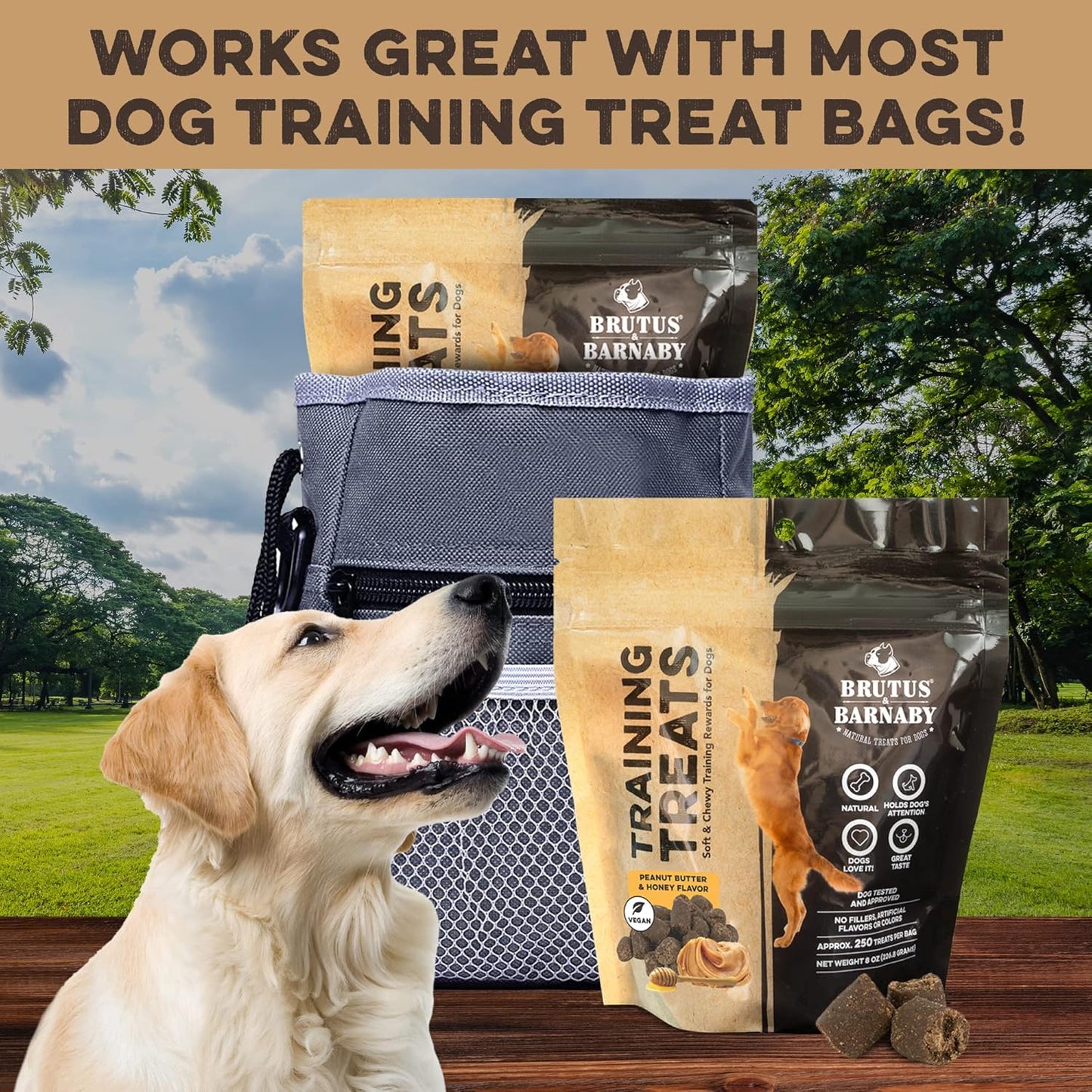 BRUTUS & BARNABY Training Treats for Dogs - Peanut Butter & Honey - All-Natural Healthy Low Calorie Vegetarian Treat - Great to Use for Rewards in Training Your Puppy Or Dog